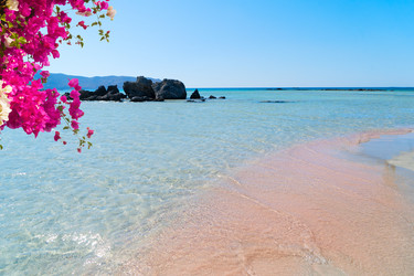 Similar image 22232971