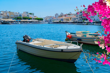 Similar image 22232976