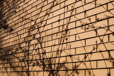 Similar image 22211537