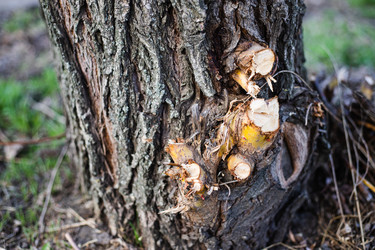 Similar image 22211538