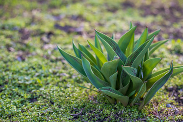 Similar image 22211540