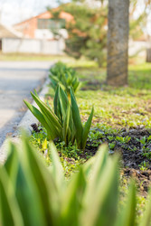 Similar image 22211541