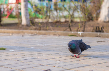 Similar image 22211546