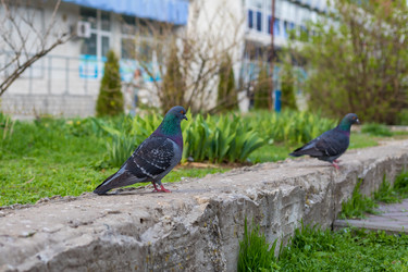 Similar image 22211547