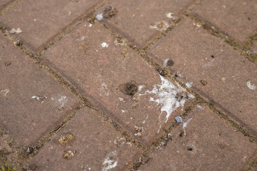 Similar image 22211548