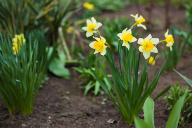 Similar image 22211549