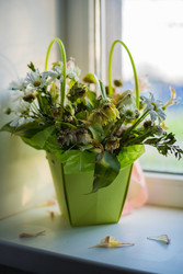 Similar image 22256655