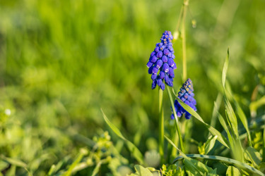 Similar image 22211550