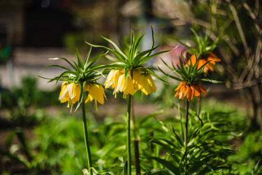 Similar image 22211551