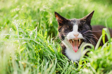 Similar image 22211552