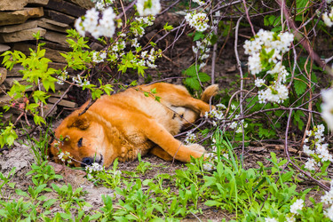 Similar image 22256656