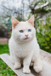 Similar image 22211554