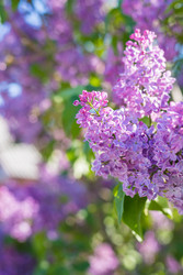 Similar image 22211556