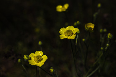 Similar image 22211401