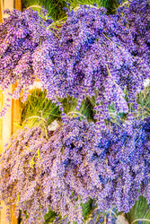 Similar image 22232442