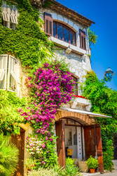 Similar image 22232449