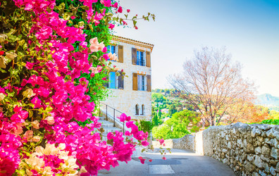 Similar image 22232450