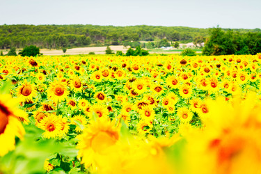 Similar image 22232453