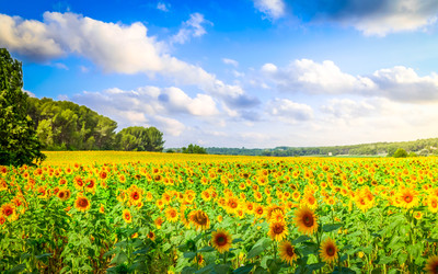 Similar image 22232455