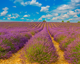 Similar image 22232609