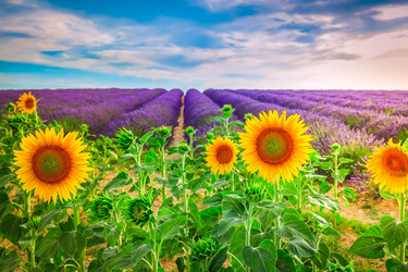 Similar image 22232611