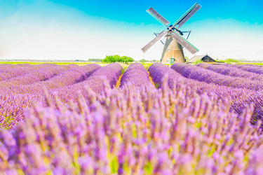 Similar image 22232612