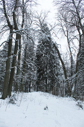 Similar image 22225844