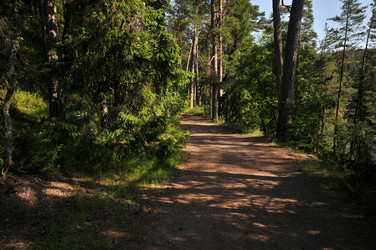 Similar image 22213562