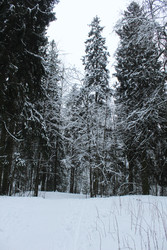 Similar image 22225879