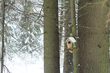 Similar image 22225881