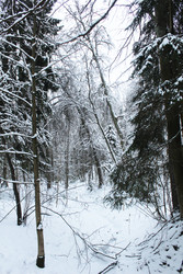 Similar image 22225882