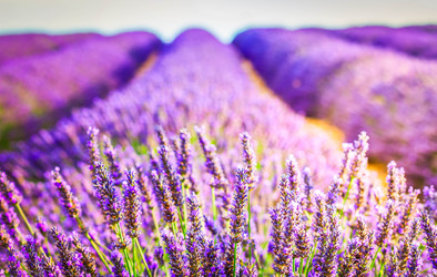 Similar image 22233553