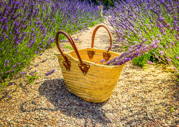 Similar image 22232473