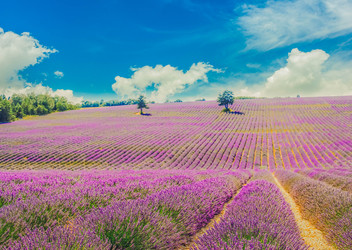 Similar image 22232475