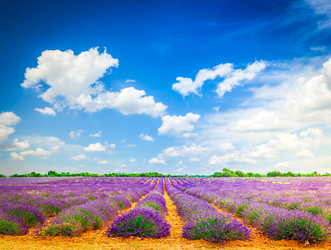 Similar image 22232476