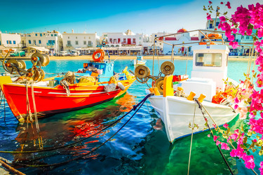 Similar image 22232486