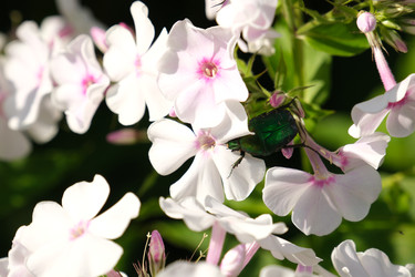 Similar image 22211132