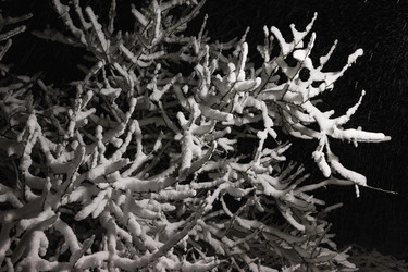 Similar image 22224879