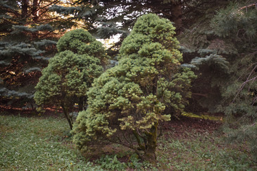 Similar image 22221861