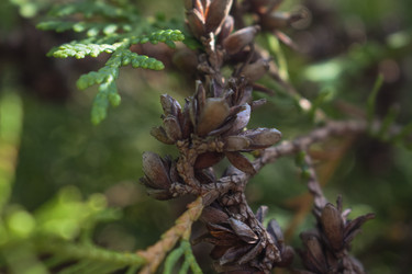 Similar image 22221862