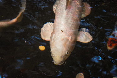 Similar image 22211417