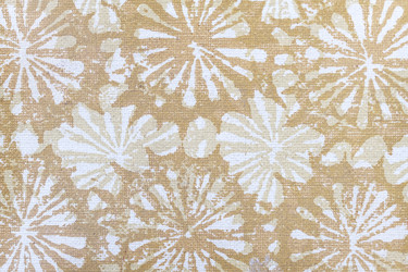 Similar image 22230037