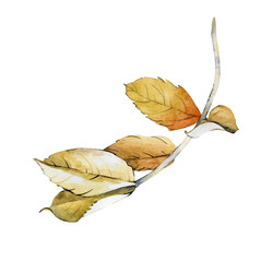 Similar image 22222115