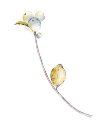 Similar image 22222120