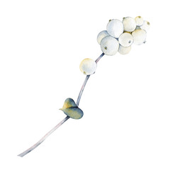 Similar image 22222121