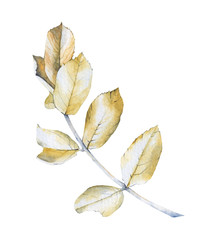 Similar image 22222122