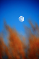 Similar image 22223835