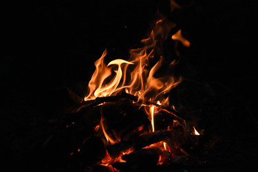 Similar image 22222231