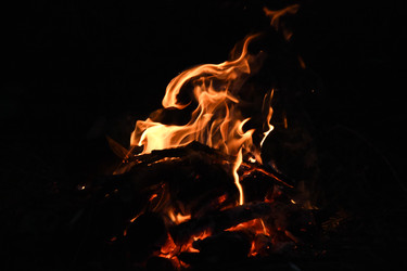 Similar image 22222232