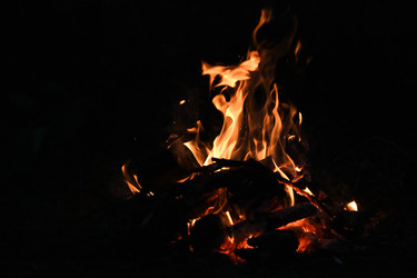 Similar image 22222237